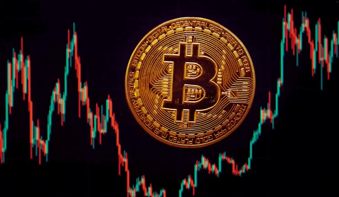 Bitcoin-Hits-Record-Highs-with-$100,000-Milestone-in-Sight