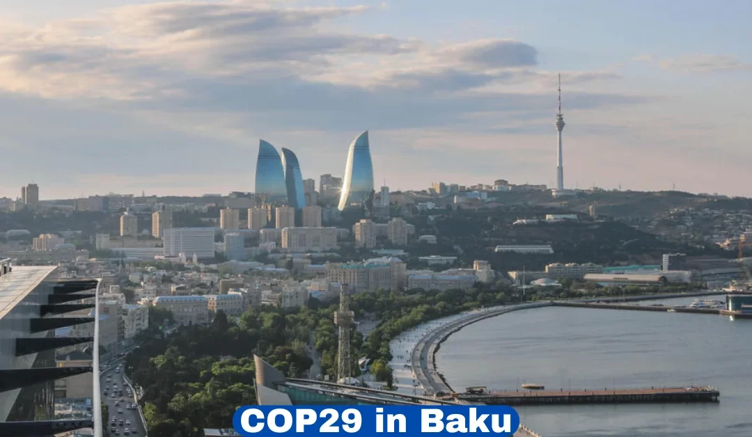 What to Expect at COP29 in Baku