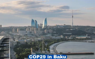 What to Expect at COP29 in Baku