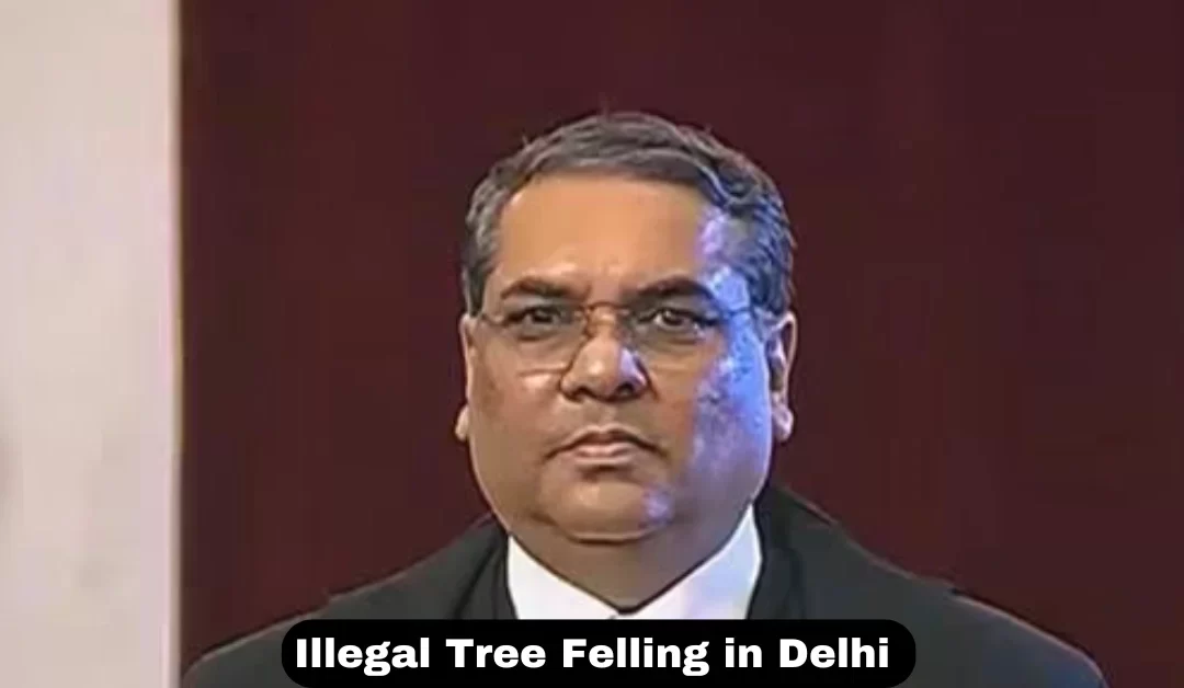 CJI-steps-aside-in-Delhi-Ridge-tree-case