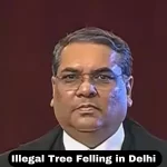 CJI-steps-aside-in-Delhi-Ridge-tree-case