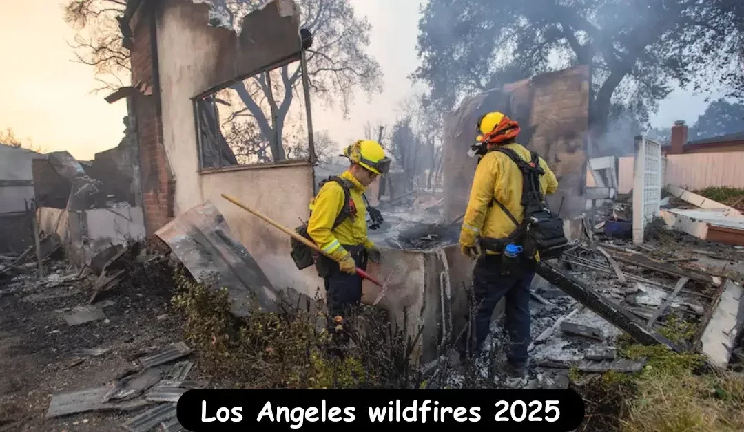 Los-Angeles-wildfires-destroy-homes,-10-dead