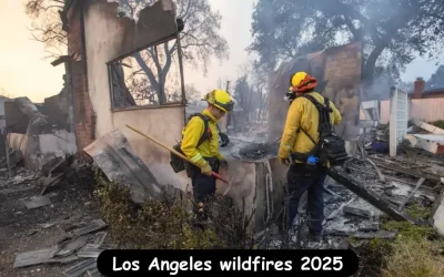 Los Angeles wildfires destroy homes, 10 dead