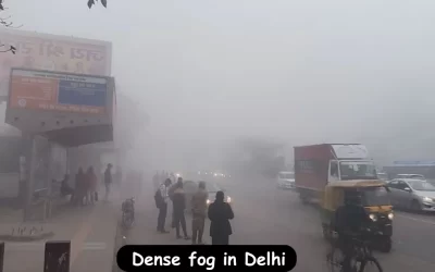 184 Flights Delayed, 7 Cancelled Due to Zero Visibility in NCR