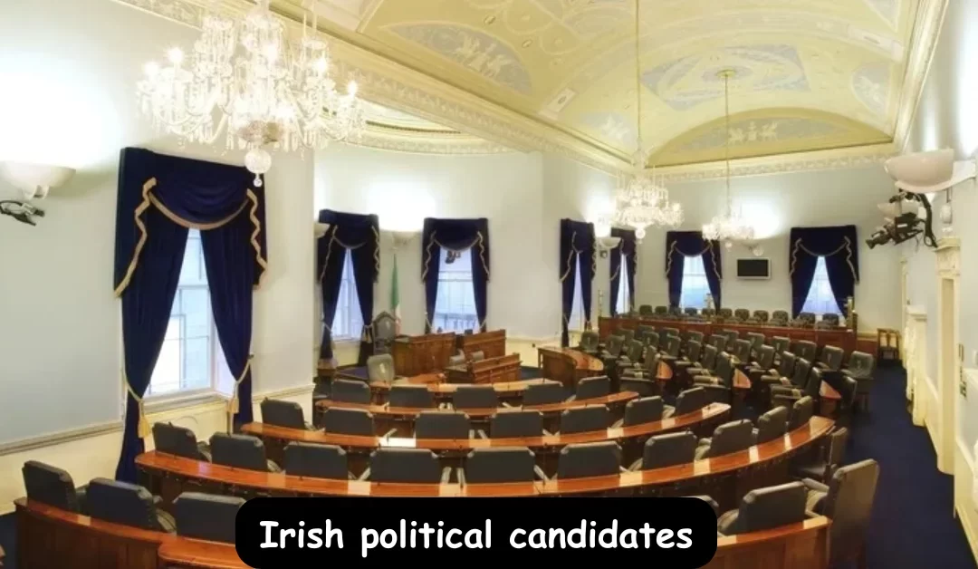 143-candidates-vie-for-Seanad-seats