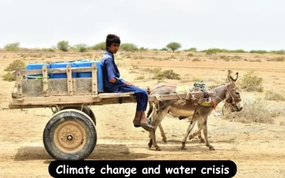 Water scarcity 8 essential facts