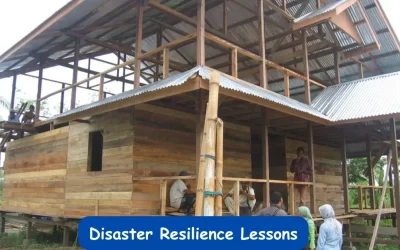 Lessons from the 2004 Tsunami on Disaster Recovery