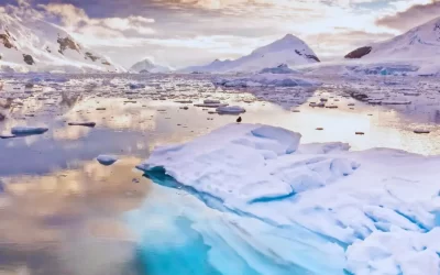 How a Trip to Antarctica Can Spark Environmental Action