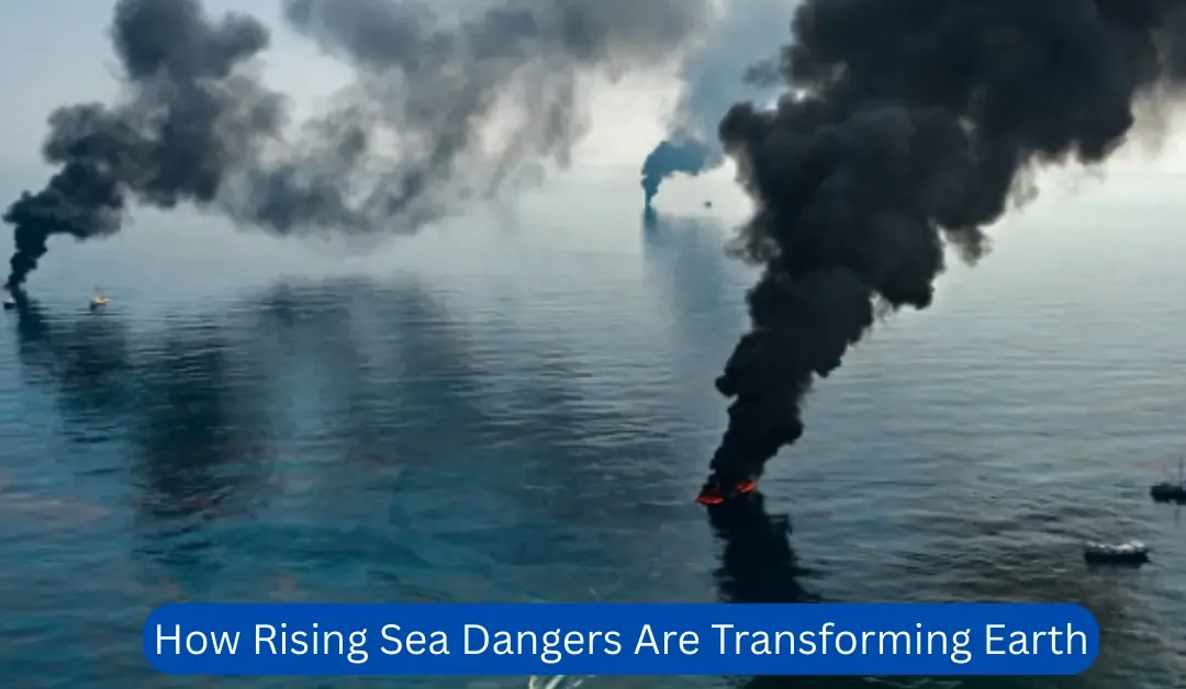 How Rising Sea Dangers Are Transforming Earth