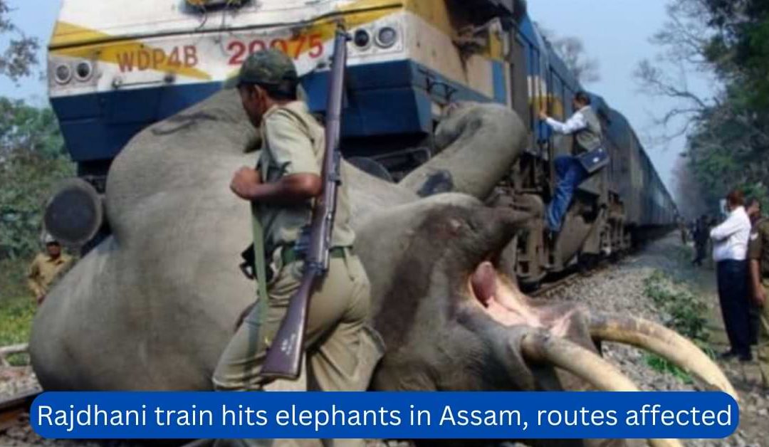 Rajdhani-train-hits-elephants-in-Assam-routes-affected