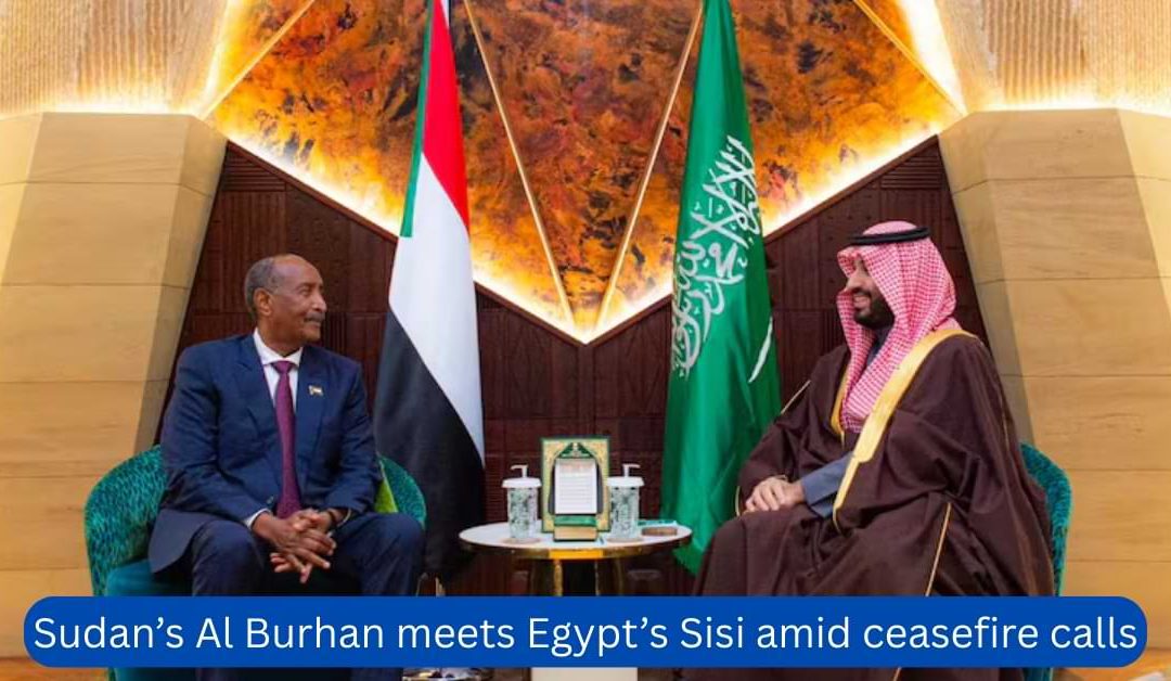 Sudan’s Al Burhan meets Egypt’s Sisi amid ceasefire calls