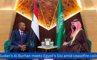 Sudan’s Al Burhan meets Egypt’s Sisi amid ceasefire calls
